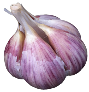 Prometei2